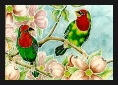 Finches, Red-Headed Parrot